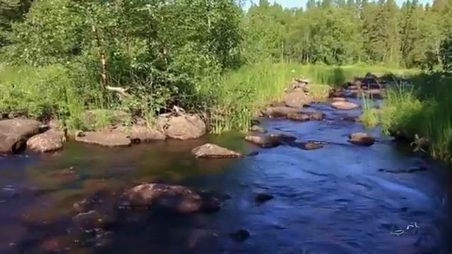 Только Молодость Крышу нам рвёт.. смотреть онлайн