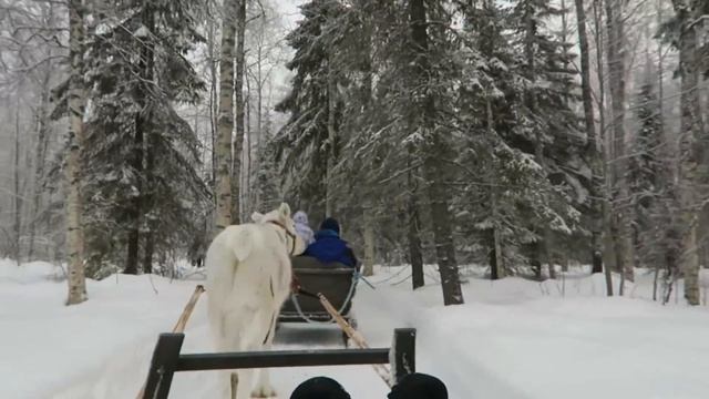 Adventures in Finland! смотреть онлайн