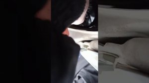 замена лампы ближнего света H7, Nissan Almera classic