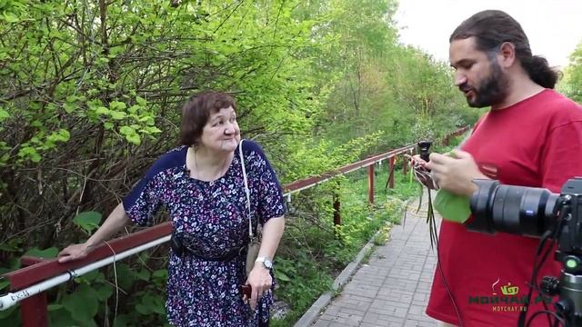 Одуванчик и топинамбур. Что их объединяет? Желтый цвет, скажете Вы. Но не только это.... смотреть онлайн