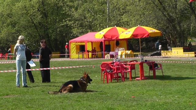 Чемпионат Москвы 2013. ОКД. смотреть онлайн