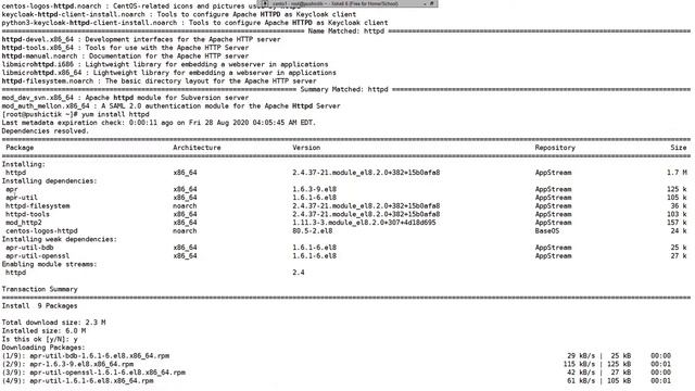 Установка и управление пакетами в CentOS. Урок 11. смотреть онлайн