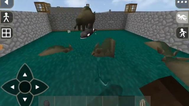 Killer Whale Vs. All Modded Creatures!! - Survival Craft 2