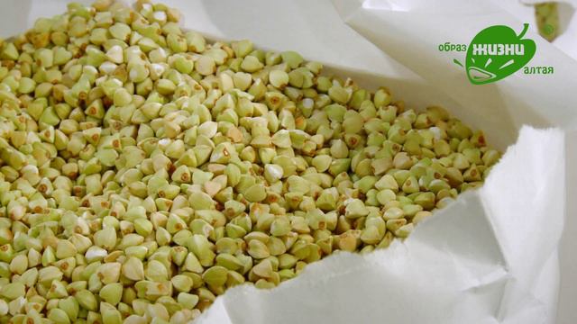 Образ Жизни Алтая. Гречка зелёная смотреть онлайн