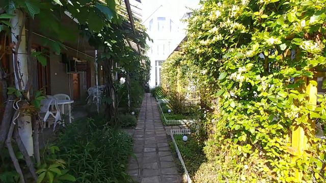 Приглашаем отдохнуть в мини гостинице РОЗОВЫЙ СЛОН. Анапа. Пионерсктй проспект. смотреть онлайн