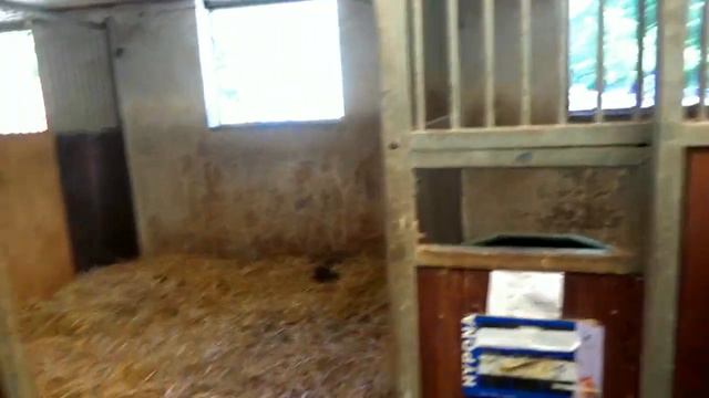 🐴 УРОКИ ВЕРХОВОЙ ЕЗДЫ | КОННЫЙ СПОРТ | ВЕРХОВАЯ ЕЗДА С НУЛЯ Еveliska 🐴 смотреть онлайн