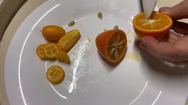 Нордманн  (Nordmann Seedless Nagami Kumquat) Кумкват 