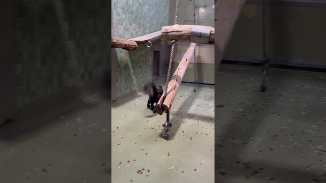 #global #berlin #ukraine #like #зима #respect #2024 смотреть онлайн