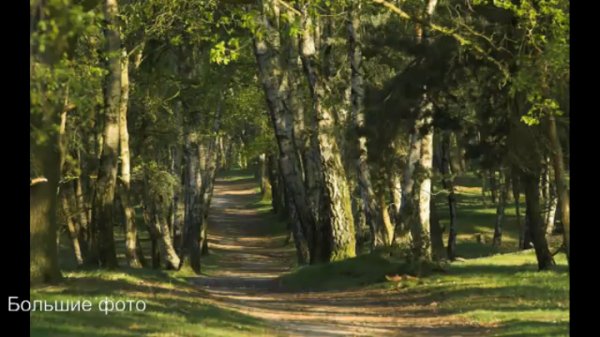 tut HD большие фото