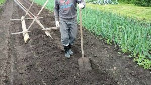 Высокие грядки для клубники мой способ