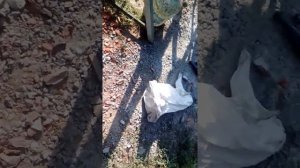бетон и жидкое стекло