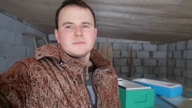 Улья ЛЫСОНЬ по цене производителя смотреть онлайн