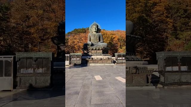 Бронзовый Будда (статуя Чвабуль), высота которого составляет более 10 метров смотреть онлайн