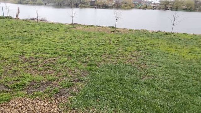 04.2021 Yakutian laika(2) смотреть онлайн