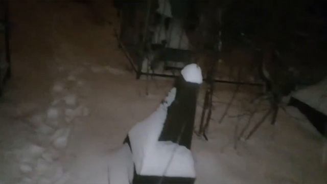 Ночная прогулка по кладбищу смотреть онлайн
