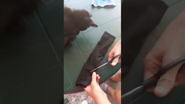 Свитер для Коте. смотреть онлайн