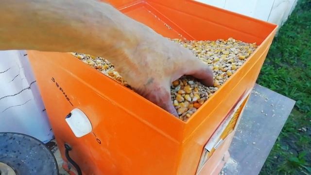 Дачные заботы#дроблёнка для цыплят бройлеров легко и просто# смотреть онлайн
