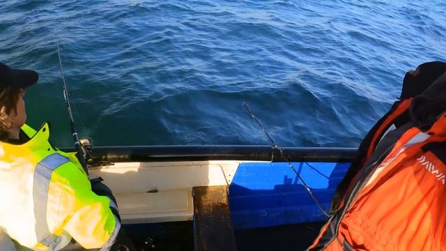 Lots of Mackerel & the Lures We Use смотреть онлайн