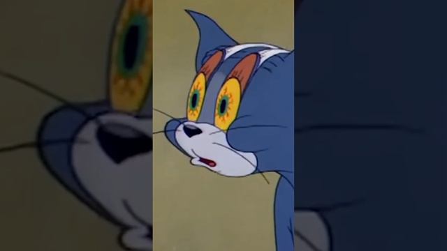 заряд бодрости по утрам