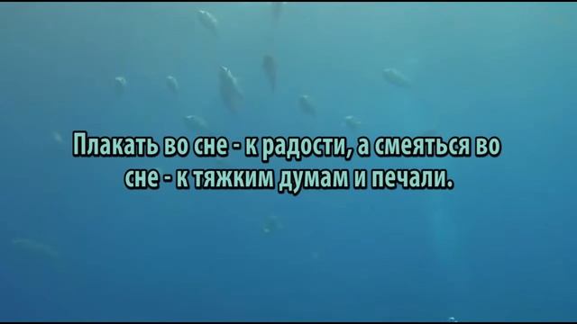 К чему снится Смеяться сонник, толкование сна смотреть онлайн
