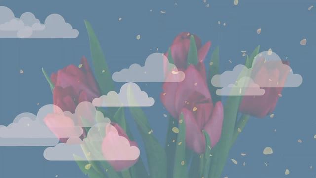 The Top 50 Most Beautiful French Words смотреть онлайн