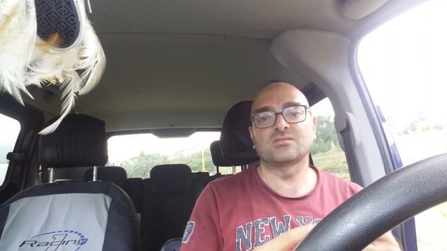 VASCHETTA CREPATA e mega tagliando Qubo N. P. смотреть онлайн