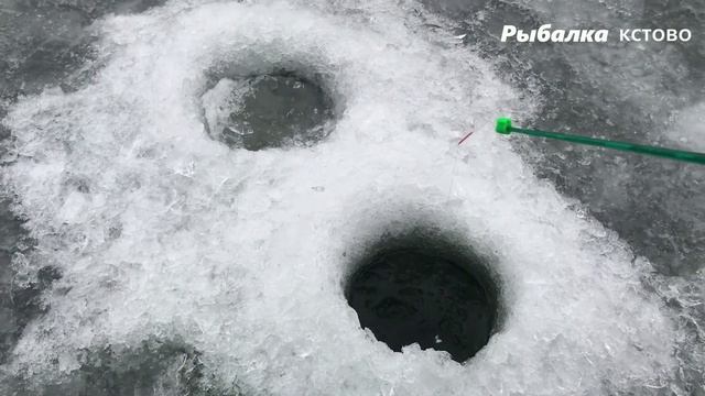 ОГРОМНЫЙ РОТАН ПОСЛЕ ОБЕДА И ДО ТЕМНОТЫ смотреть онлайн