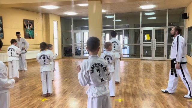 тхэквондо жёлтый пояс смотреть онлайн