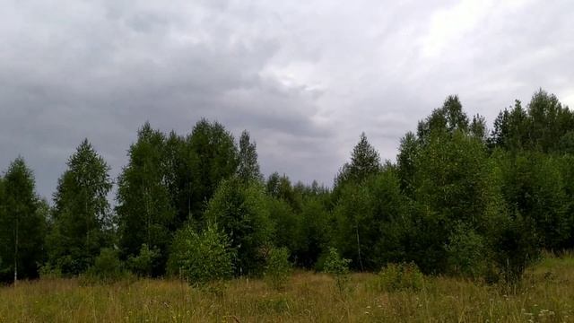 Нам с тобой - голубых небес навес