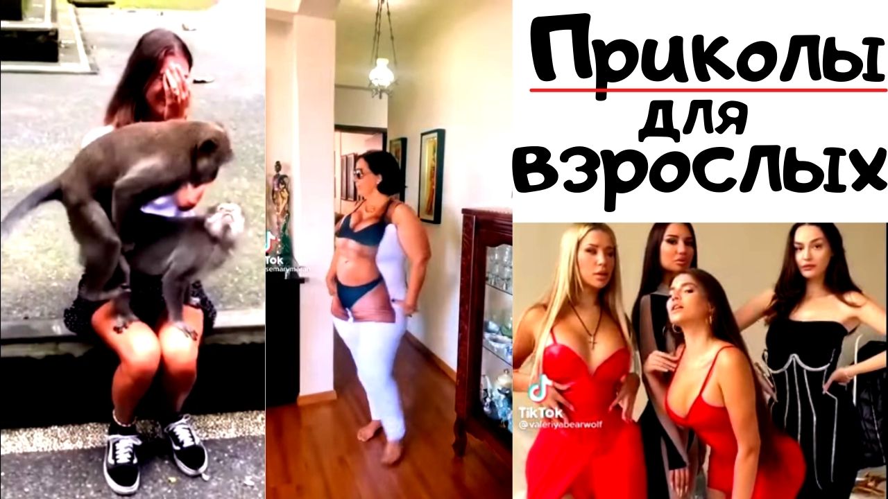 Приколы музыка юмор анекдот. смотреть онлайн