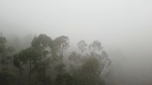 ПРЕКРАСНАЯ МЕДИТАЦИЯ С МУДЖИ ~ Спокойная жизнь - бесценна смотреть онлайн