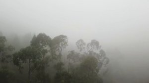 ПРЕКРАСНАЯ МЕДИТАЦИЯ С МУДЖИ ~ Спокойная жизнь - бесценна