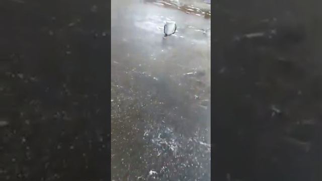 Рыбалка в Строгино в Москве по Первому льду 01.12.2019 ч.5 смотреть онлайн