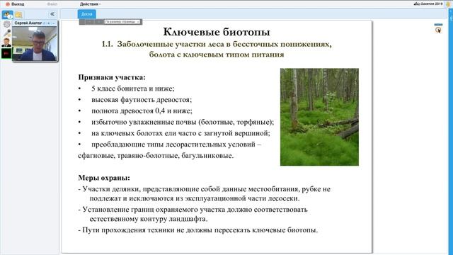 Сохранение биологического разнообразия при заготовке древесины смотреть онлайн