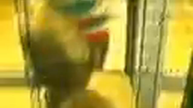 Белка в клетке смотреть онлайн