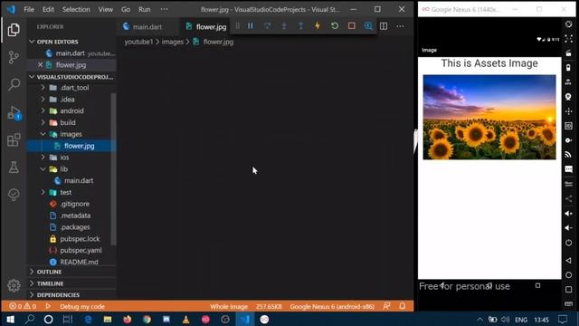 Assets Image & Network Image | FlutterUI | Speed Code смотреть онлайн
