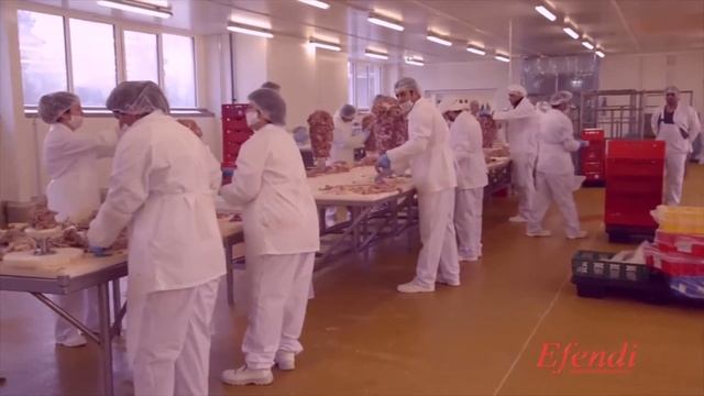Efendi doner смотреть онлайн