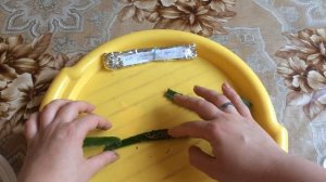 Подготовка семян астры к посеву!