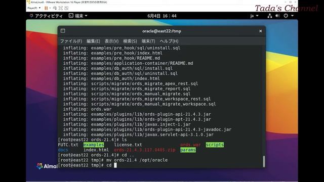 Oracle 21c XE , Apex 22.1,Ords 21.4,Tomcat 9.0.63 AlmaLinux 8.5 смотреть онлайн