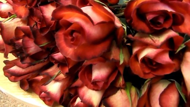 Роза "Легенда" производства Эквадор смотреть онлайн