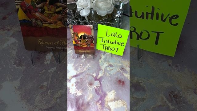 DAILY ORACLE MESSAGE FOR ALL SIGNS_SECRETS REVEALED-ECLIPSE SEASON_11/4/22 смотреть онлайн