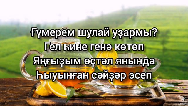 Elvin Grey — Һалҡын сәй