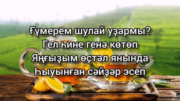 Elvin Grey — Һалҡын сәй