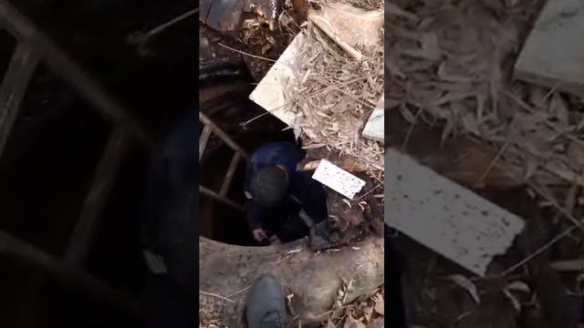 1 марта 2024 г.