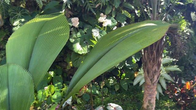 Visiting Florida and Dr. Jeff Block at Block Botanical Gardens смотреть онлайн