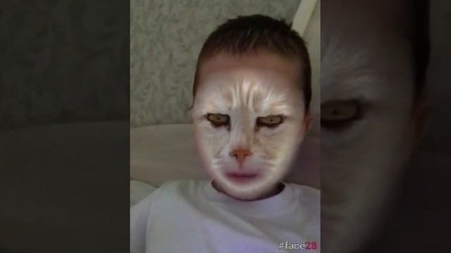 коты и лава лава