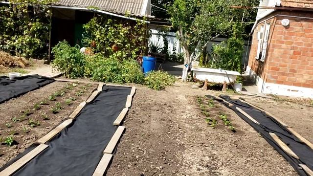 Просееваю биогумус. смотреть онлайн