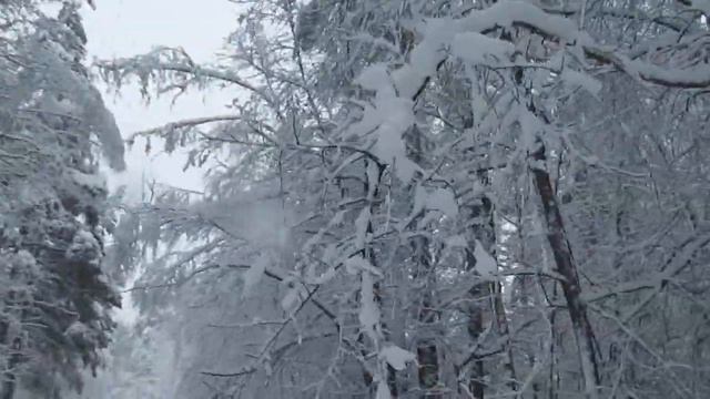 MVI 1809 Снежная зима 2019 смотреть онлайн