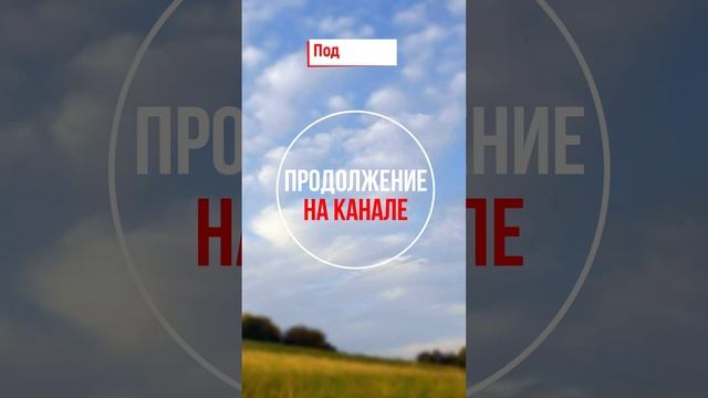 ? Он не поверил своим глазам и снова прочитал записку... #shorts смотреть онлайн