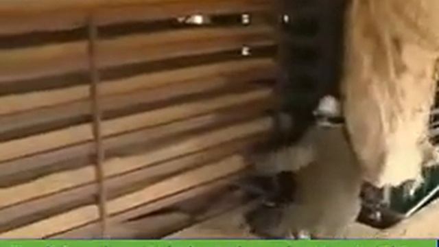 Производство ДСП традиционным путём